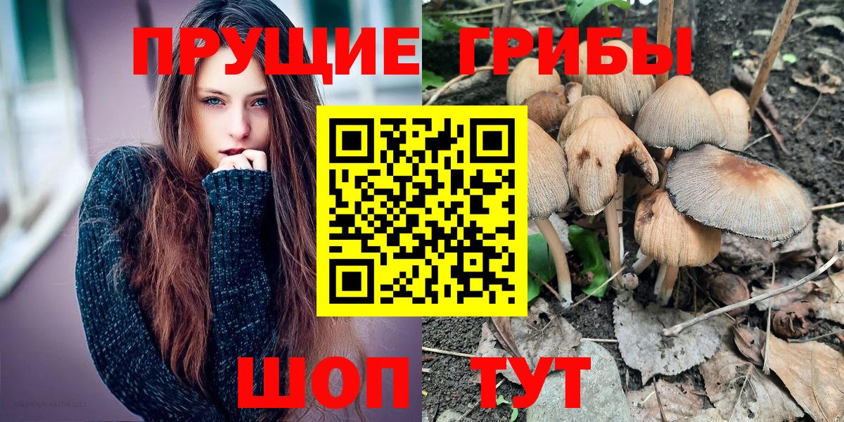 Псилоцибиновые грибы мицелий  Галлюциногенные грибы MAGIC MUSHROOMS  Тосно  Вход с VPN 